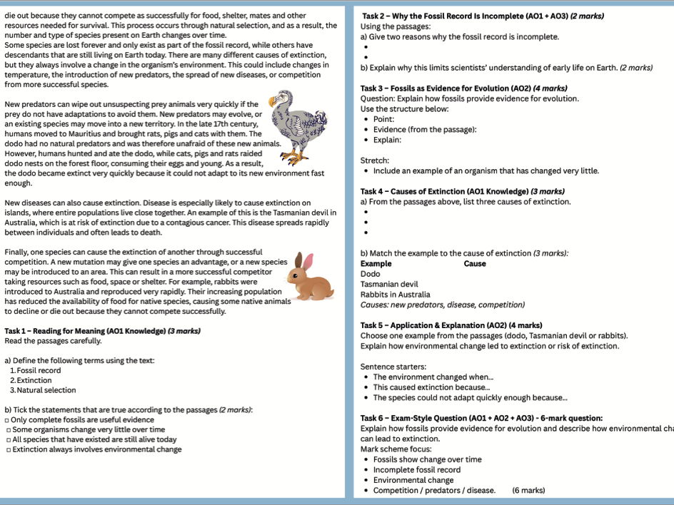 B14/L2 - Fossils & Extinction Lesson Worksheet With Answers/GCSE/AQA/Combined Science