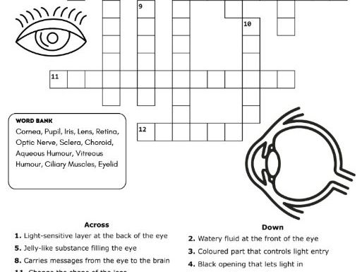 Human Eye Vocabulary Crossword – Parts of the Eye Science Activity (KS2 / KS3)