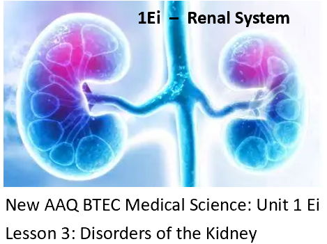NEW: AAQ BTEC Medical Science Unit 1Ei Renal System - Lesson 3: Disorders of the Kidneys