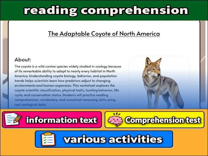 The Adaptable Coyote of North America - zoology & Activities