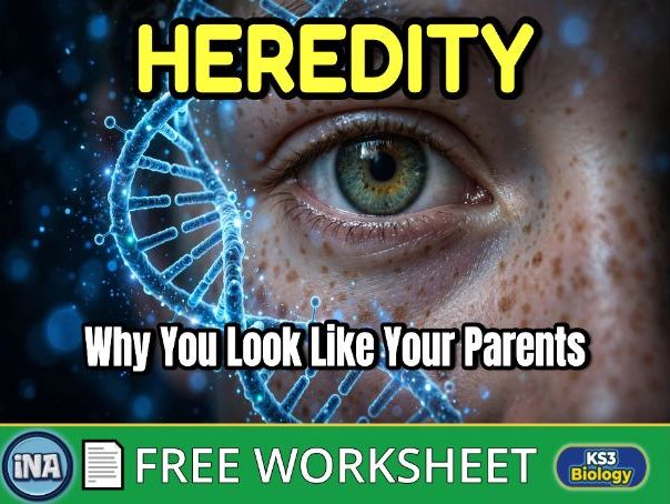 Heredity - FREE KS3 Biology Worksheet