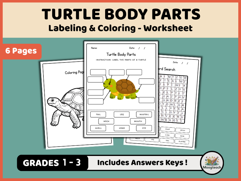 Turtle Body Parts | Reptile Anatomy | Labeling & Coloring | Science Worksheet | Habitats | KS1 | KS2