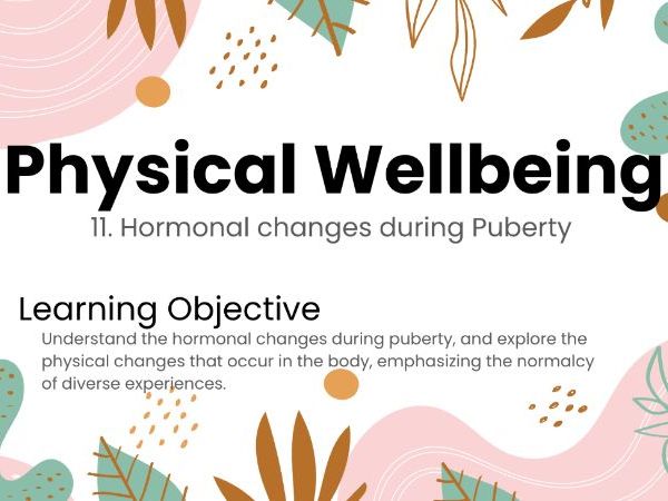 Hormonal Changes during Puberty – Year 8 PSHE Lesson on Puberty and Development