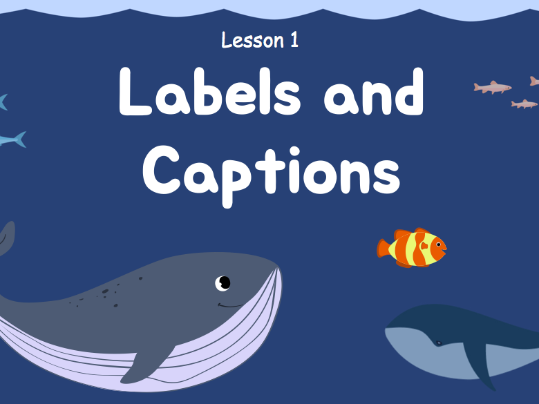 Year 1 - Non-fiction unit: Labels and Captions