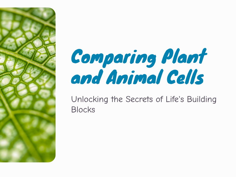 Y7 - Cells - Plant Cells & Comparing Cell Types
