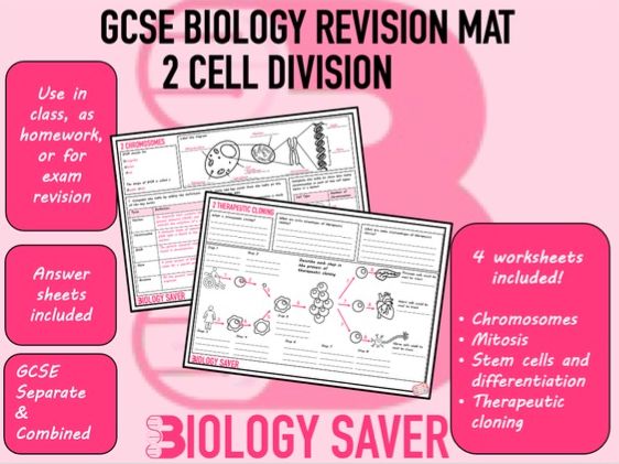 GCSE Biology Revision mats - 2 Cell Division | Teaching Resources