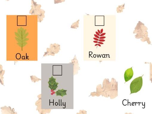 Autumn Scavenger Hunt