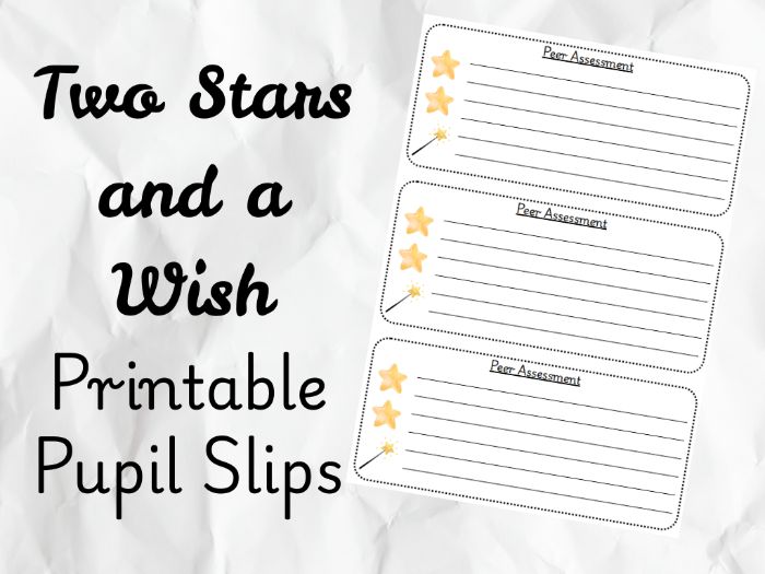 Two Stars and a Wish – Peer Assessment Slips (Printable PDF)