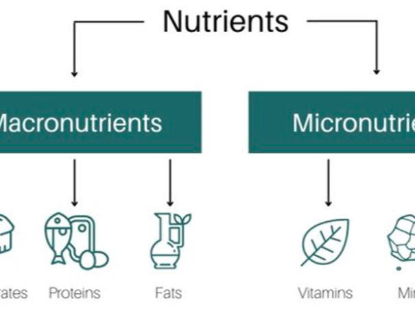 GCSE Food Preparation and Nutrition - macronutrients revision lesson