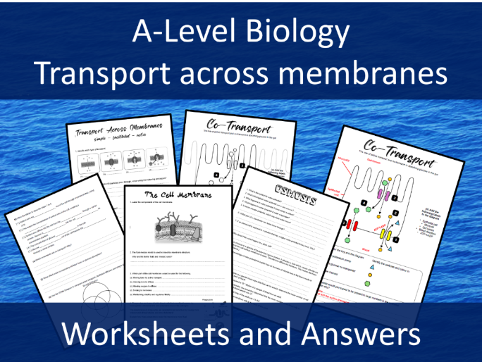 Transport across membranes - Four Worksheets - A level Biology