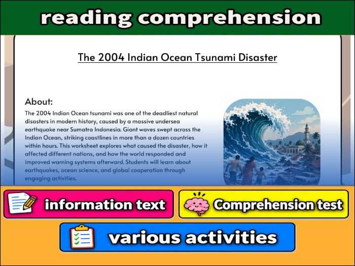 The 2004 Indian Ocean Tsunami Disaster - reading  Comprehension & Activities