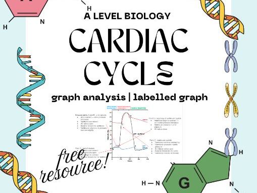 AQA/EDEXCEL/OCR A Level Biology – Cardiac Cycle Graph Explained