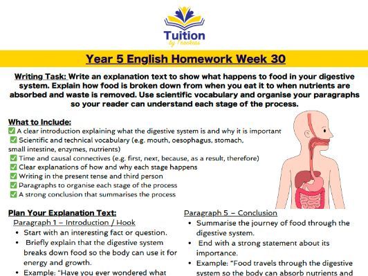 30. Year 5 - Creative Writing & Spelling