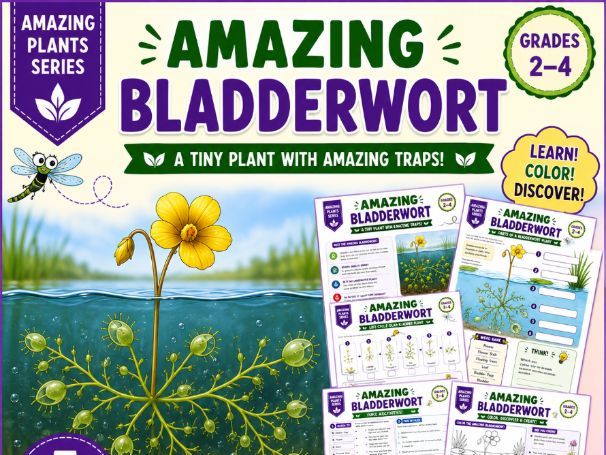 Amazing Bladderwort | Carnivorous Plant Worksheets | Activities Grade 2-5