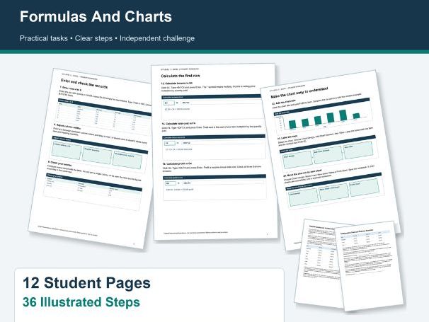 ICT Excel and Chart Basics Functional skills