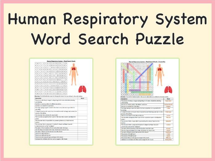 Human Respiratory System - Word Search Puzzle, PDF, Life Science, Human Body