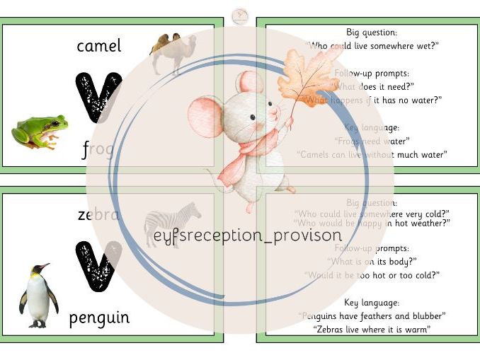 Animal adaptations
