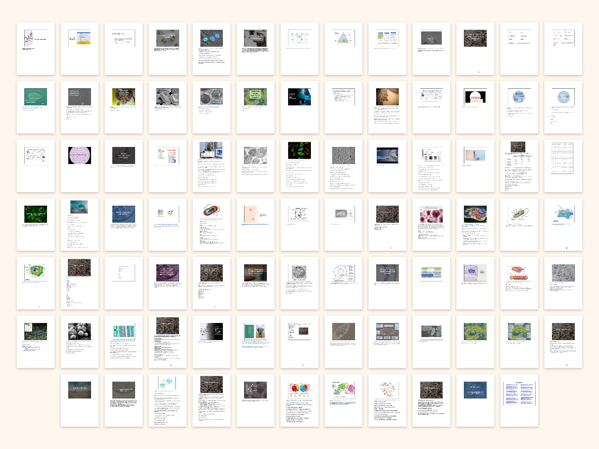 pdf, 15.78 MB