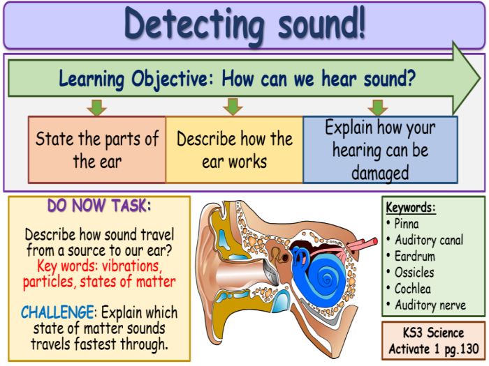 Detecting Sounds KS3 Activate Science