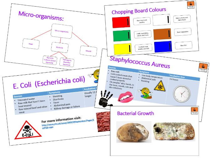 Bacterial Contamination Teaching Resources