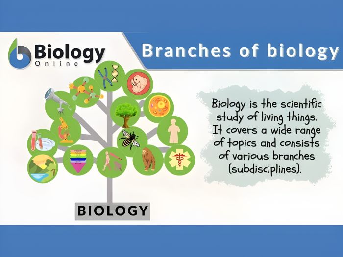 Analyzing student engagement: a case study of active learning in two biology courses