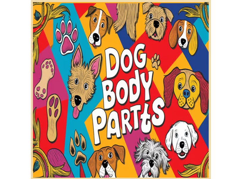 Dog Body Parts | Dog Anatomy for Kids | Animal Science KS2