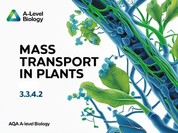 AQA A-level biology 3.3.4.2 Mass transport in plants Whole topic
