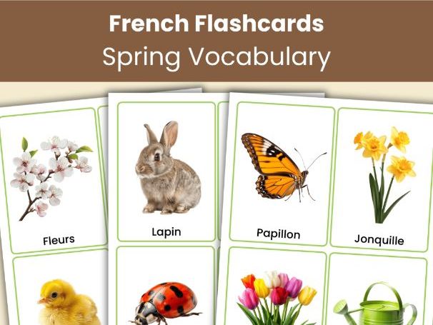 French Spring Flashcards | 44 Seasonal Vocabulary Cards | Printable French Resource