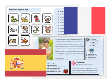 Pets (French & Spanish) – Teaching & Assessment Package