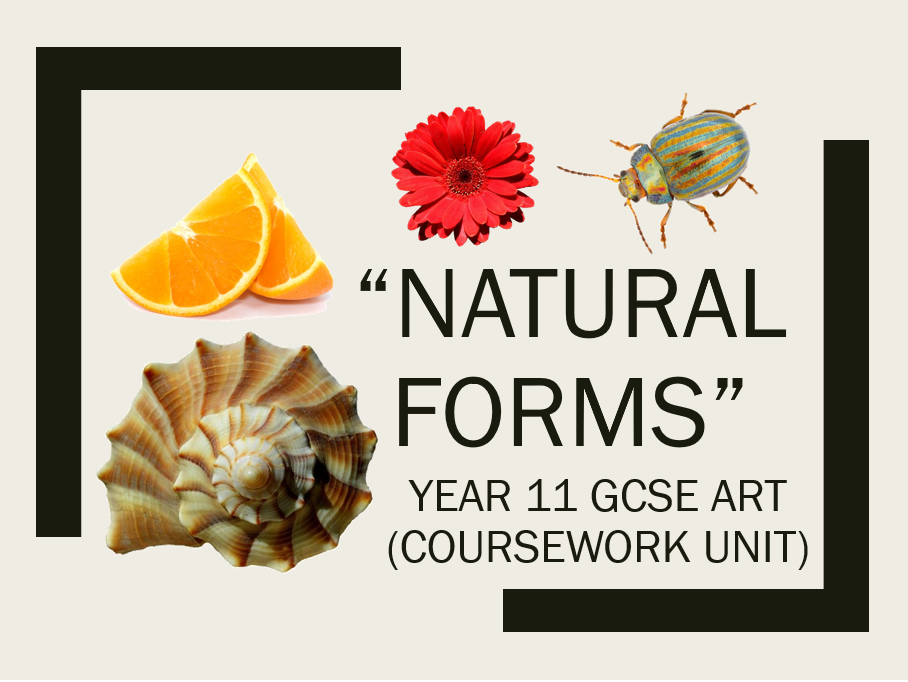 GCSE Art Year 11 "Natural Forms" Unit Resources