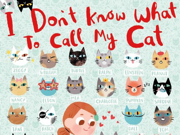 I Don't Know What to Call My Cat - Simon Philip & Ella Bailey - Activity Pack