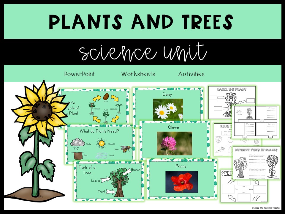 Plants Year 1 Science PowerPoint and Worksheets Teaching Resources