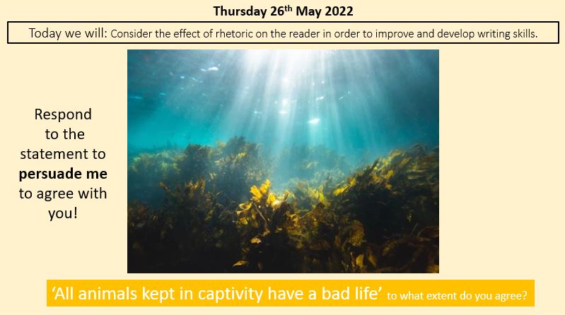 Rhetoric persuasive writing full lesson animal cruelty captivity whales ...