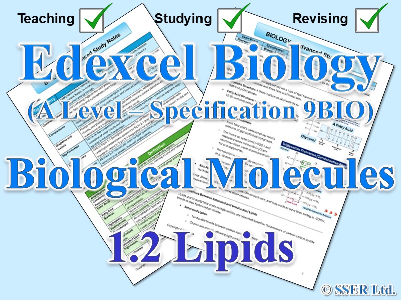 BIOA_EDX Topic Notes: 1.2 Lipids
