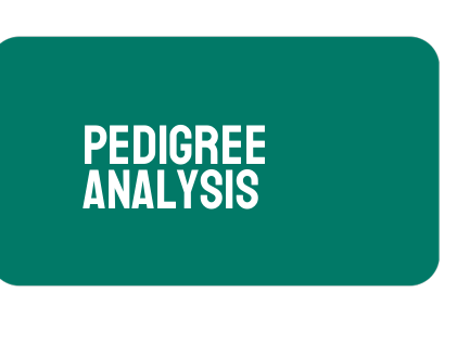 AP Biology Unit 5: Pedigree Analysis