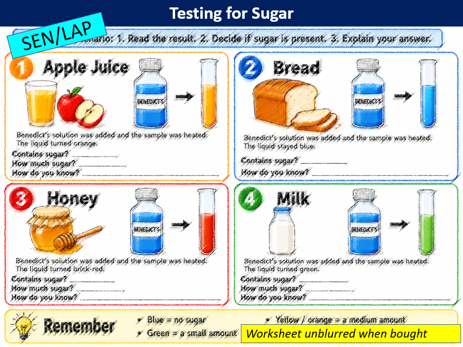 Testing for Sugar