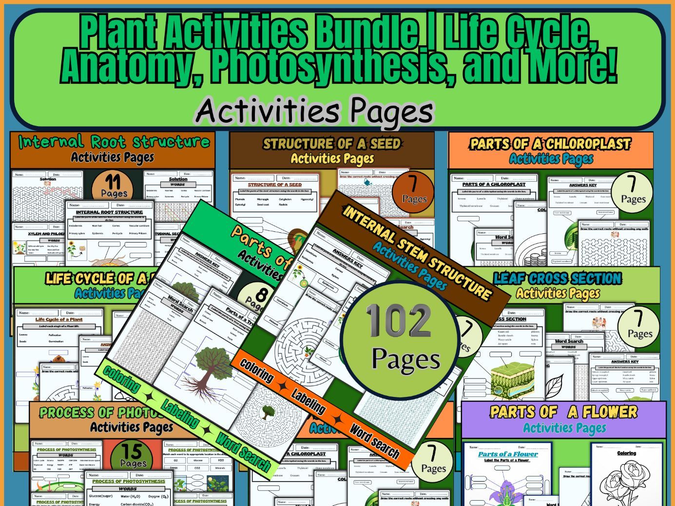 Plant Activities Bundle | Life Cycle, Anatomy, Photosynthesis, and More!
