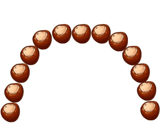 Conker Patterns