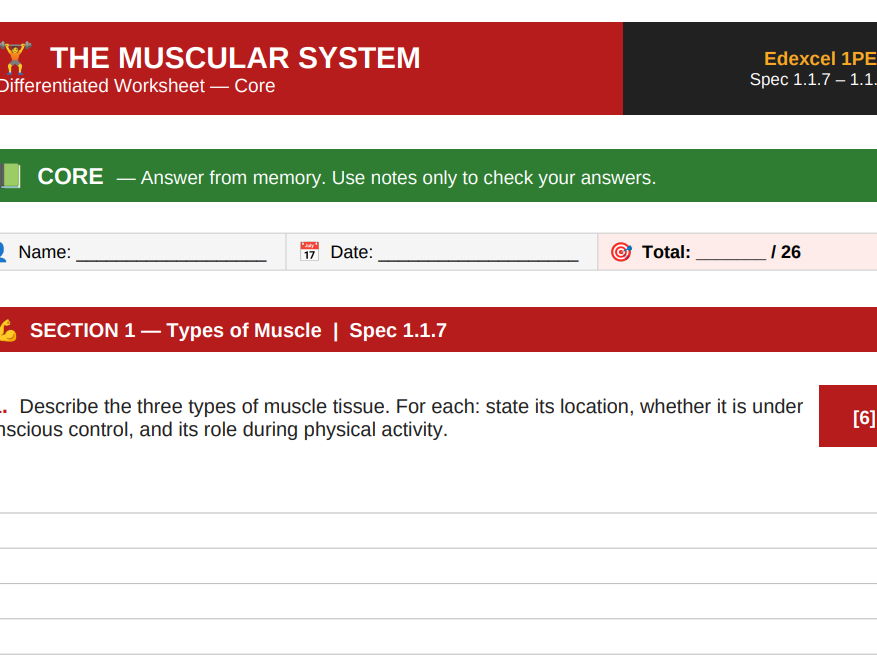Muscular System | Edexcel GCSE PE 1PE0 | Differentiated Worksheets – Foundation Core Extend