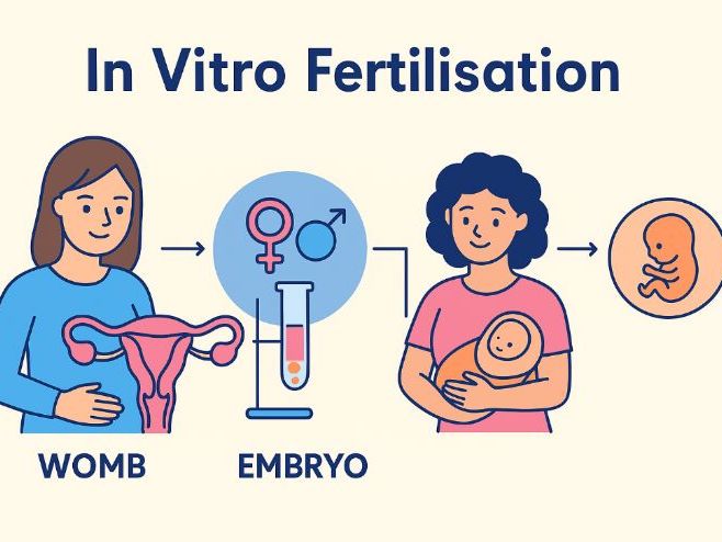 Y9: KS3 CATHOLIC RED: Creation and Covenant - L6 (ETHICAL): Ethical Implications of IVF