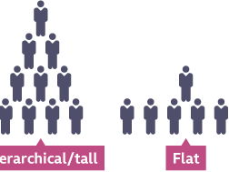 Organisational Design-Business A Level
