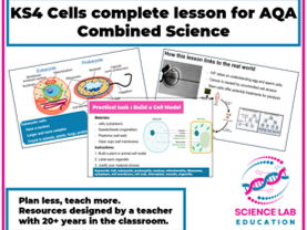 KS4 Cells complete lesson (AQA GCSE Trilogy and Separate Biology