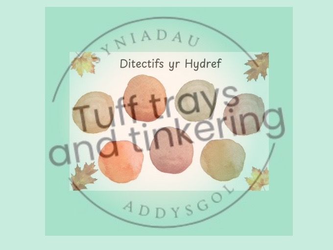 hydref detectifs forest school Curriculum for Wales Early Years PS1 addysg Cymraeg