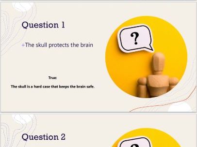 Bones Quiz