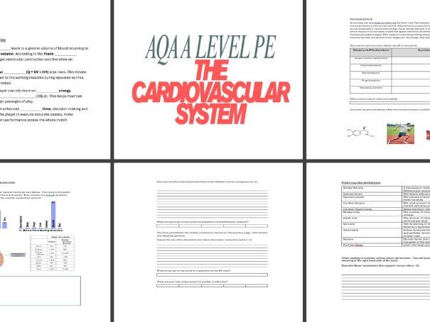 AQA A Level PE CV system Revision Workbook