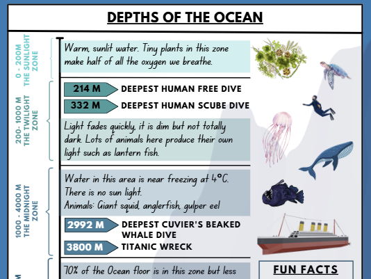 Depths of the Ocean Fact File Poster A3