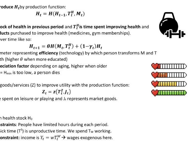 Human Capital Notes - MSc Economics for Development Revision Notes