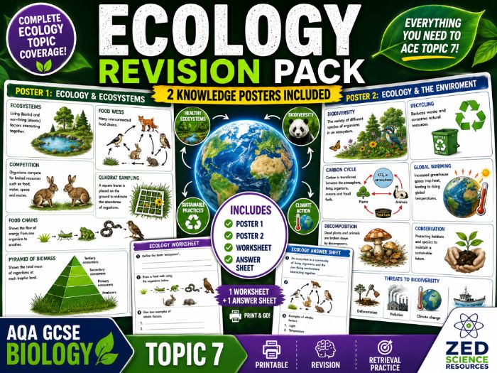 AQA GCSE Biology Topic 7 Ecology Revision Pack | 2 Posters + Worksheet