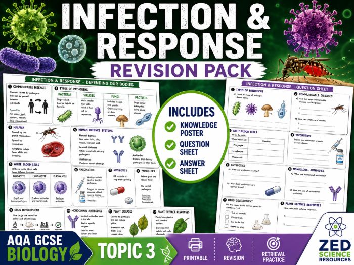 AQA GCSE Biology Topic 3 Infection and Response Revision Pack