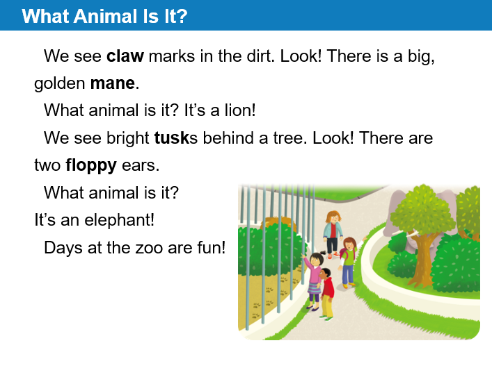 Reading Comprehension Lesson with activities Grade 2 & 3